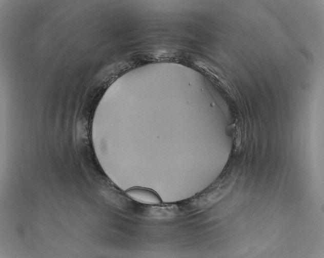 X0000110970571200907101351