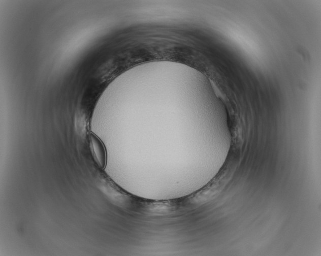 X0000110970574200907101351