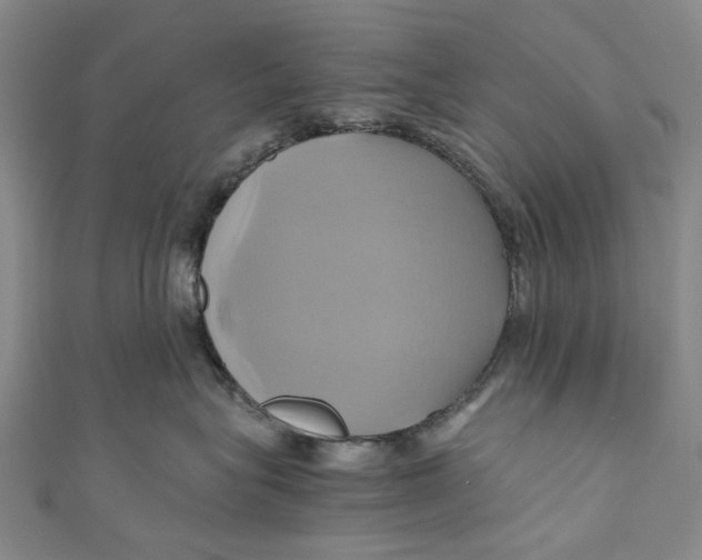 X0000110970575200907101351