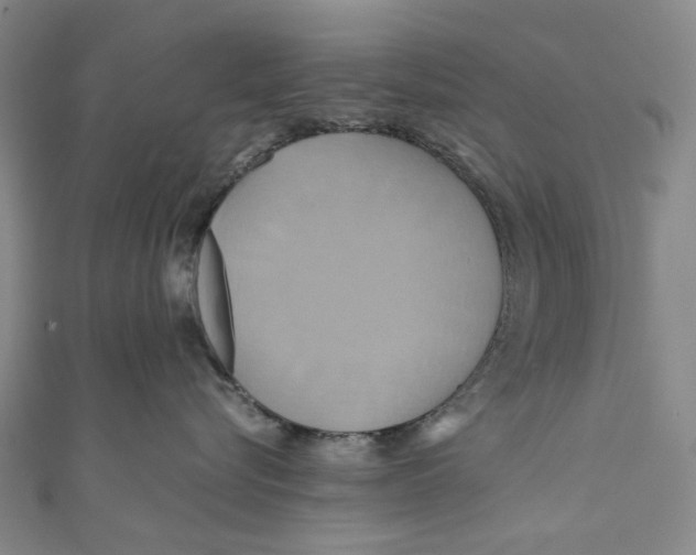 X0000110970576200907101351