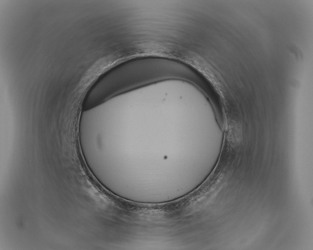 X0000110970577200907101350