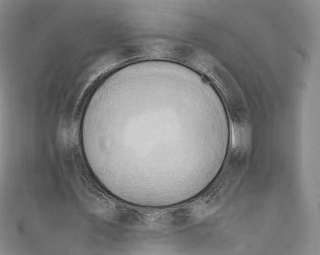 X0000110970579200907101350