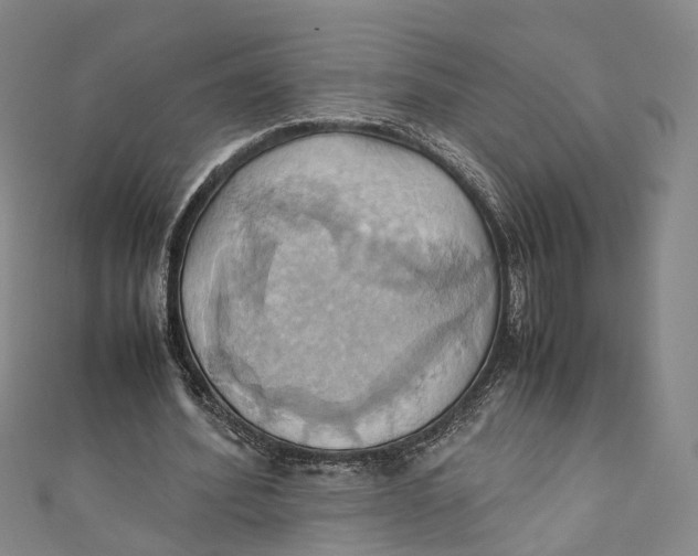 X0000110970580200907101350