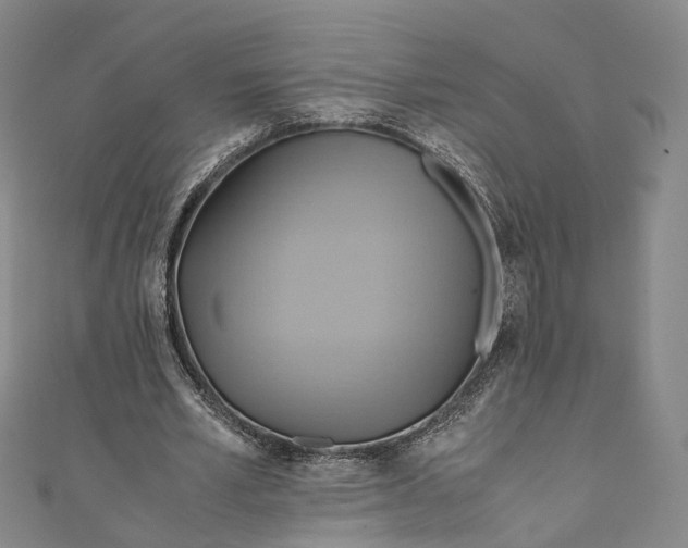 X0000110970581200907101350