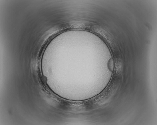 X0000110970583200907101350