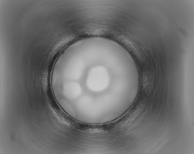 X0000110970586200907101350