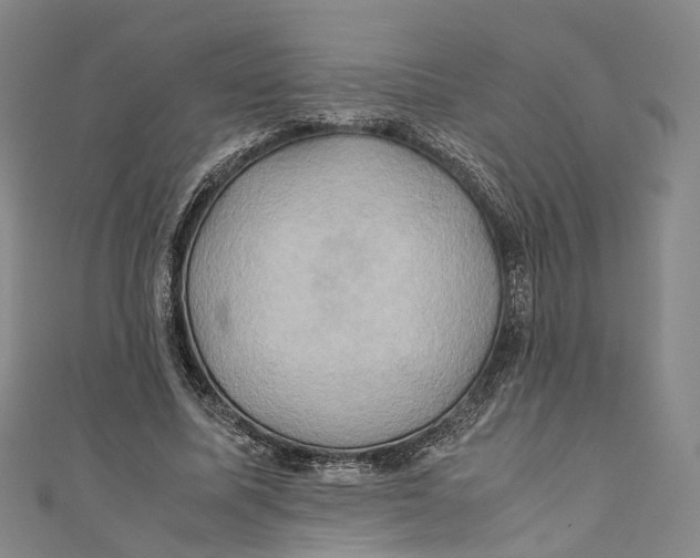 X0000110970587200907101350