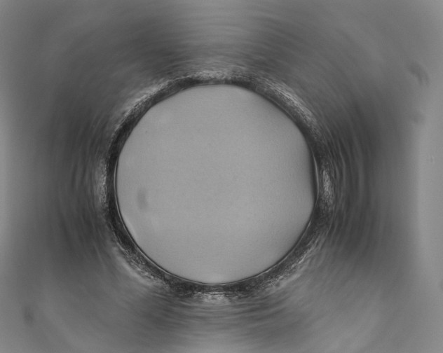 X0000110970588200907101350