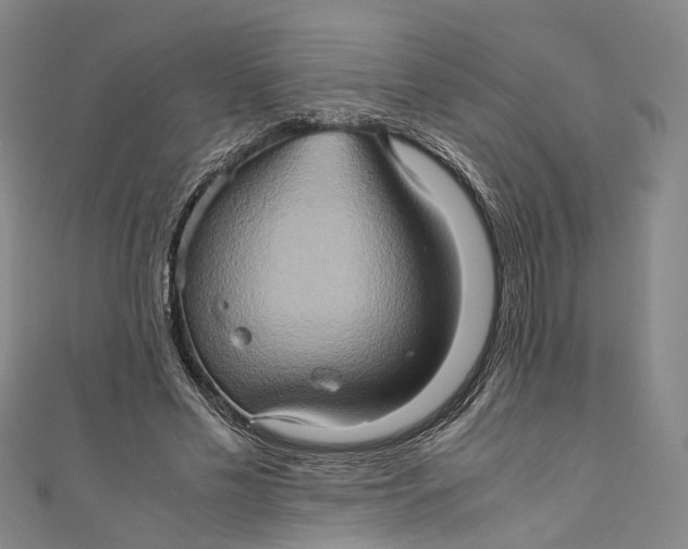 X0000110970589200907101350