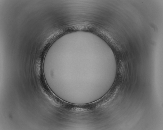 X0000110970590200907101350