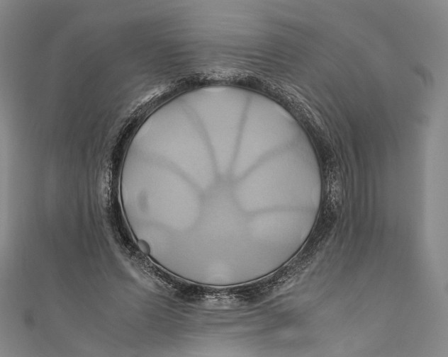 X0000110970591200907101350