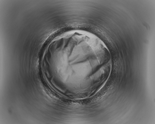 X0000110970592200907101350