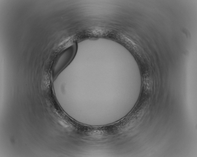 X0000110970593200907101350