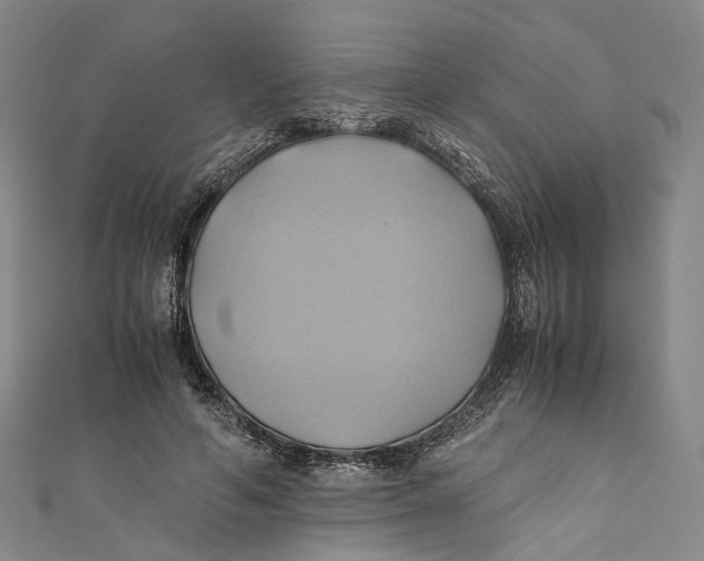 X0000110970594200907101350