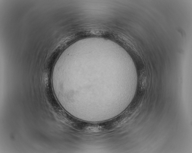 X0000110970595200907101350