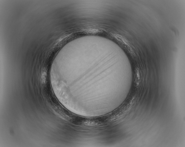 X0000110970596200907101350