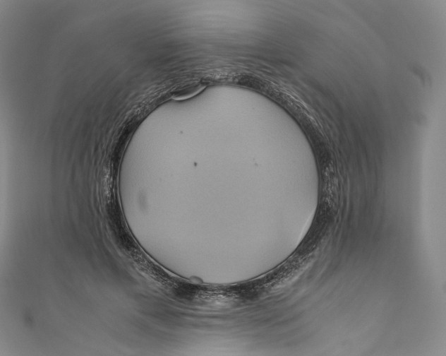 X0000110970597200907101350