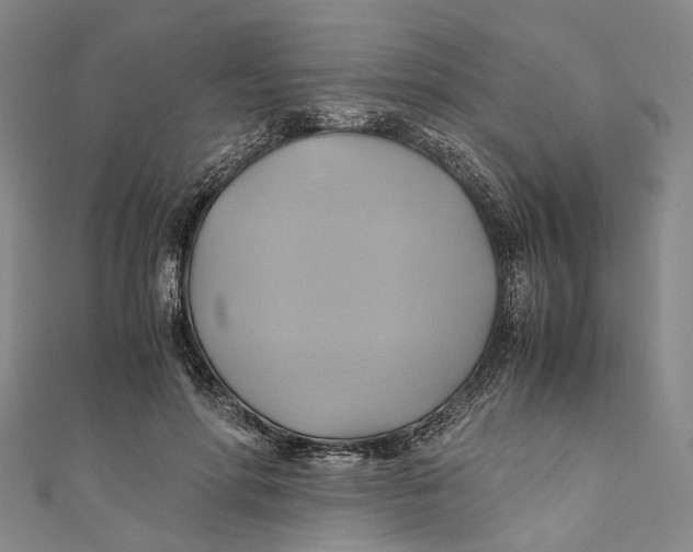 X0000110970598200907101350