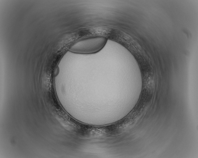 X0000110970599200907101350