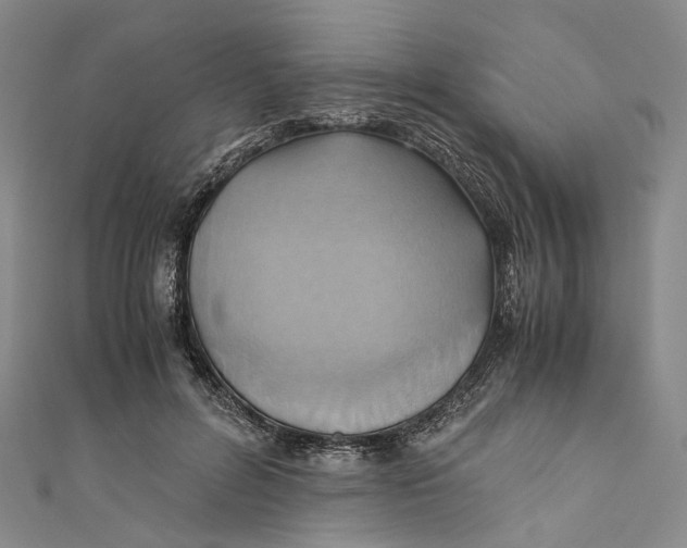 X0000110970600200907101350