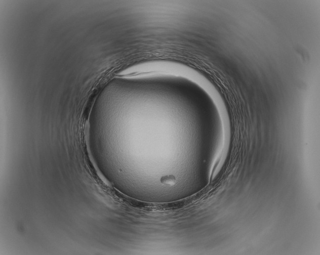 X0000110970601200907101350