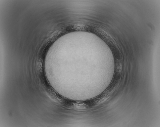 X0000110970603200907101350