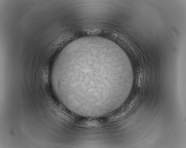 X0000110970604200907101350