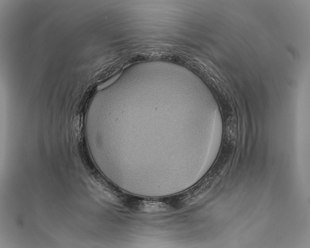 X0000110970605200907101350