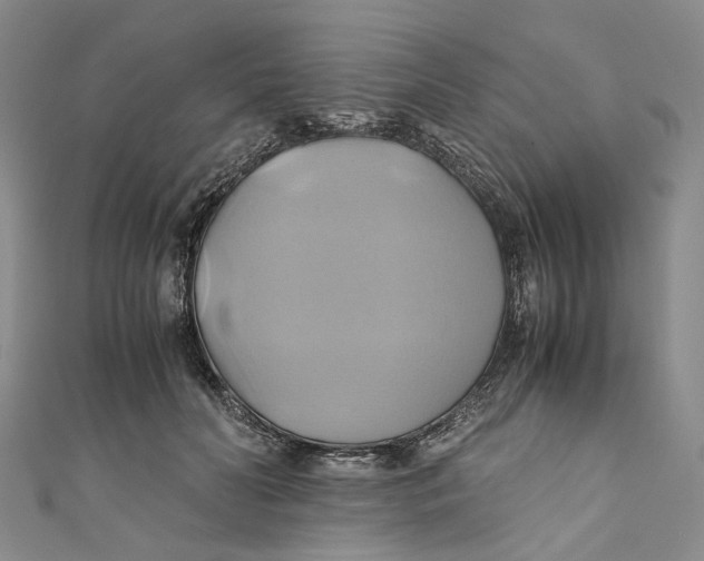 X0000110970606200907101350