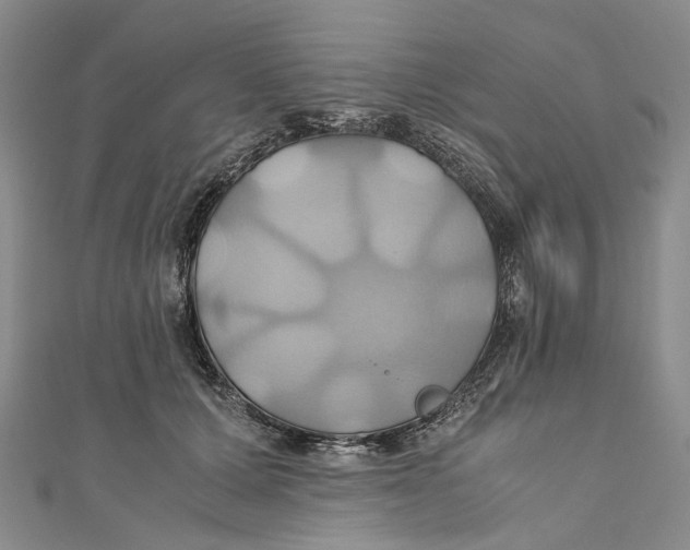 X0000110970607200907101350