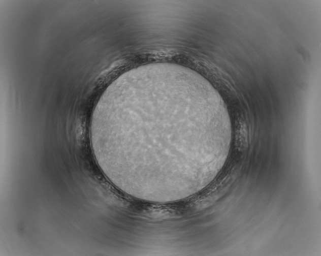 X0000110970608200907101350