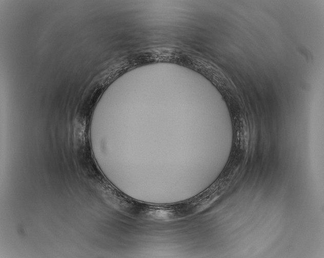 X0000110970610200907101350