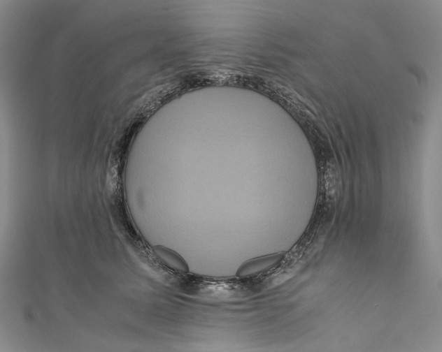 X0000110970611200907101350