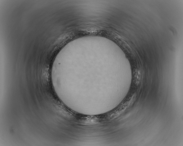 X0000110970612200907101350