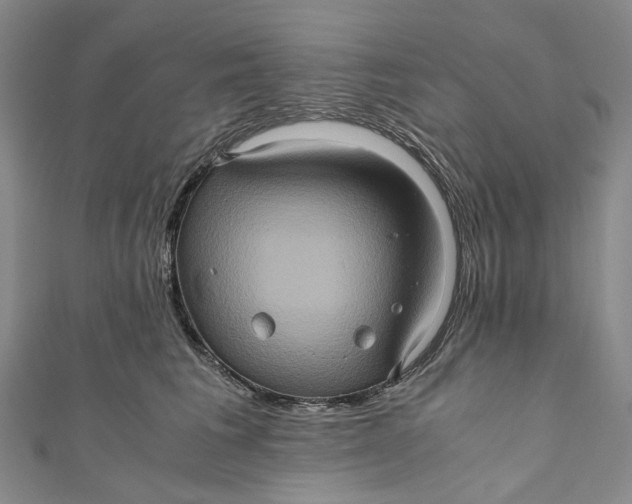 X0000110970613200907101350