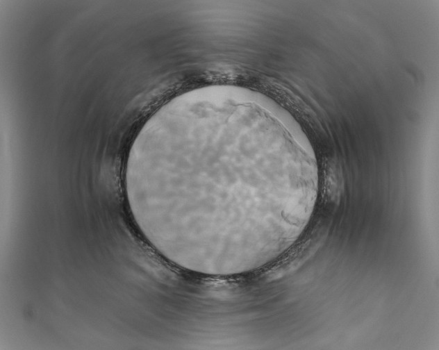 X0000110970616200907101350