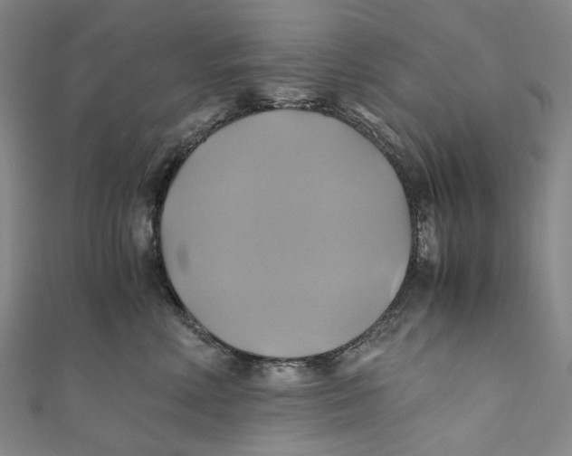 X0000110970618200907101350