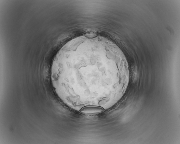 X0000110970619200907101350