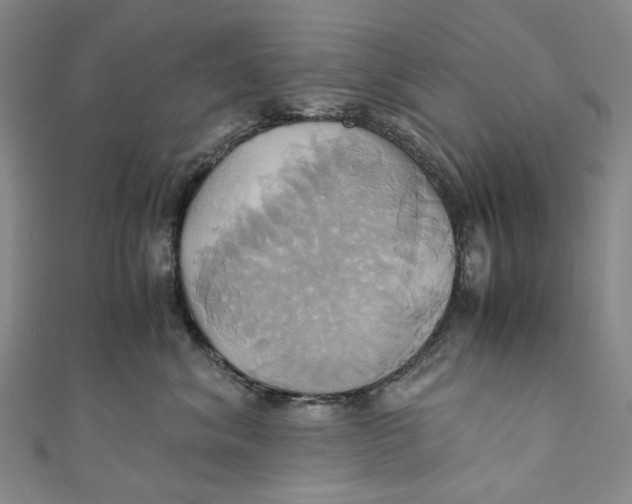 X0000110970620200907101350