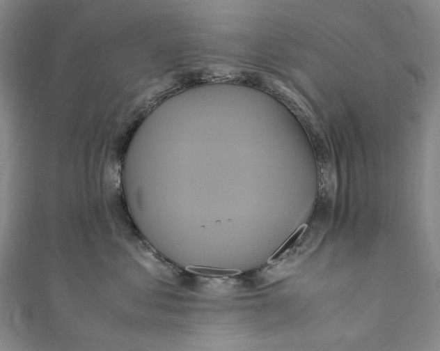 X0000110970621200907101350