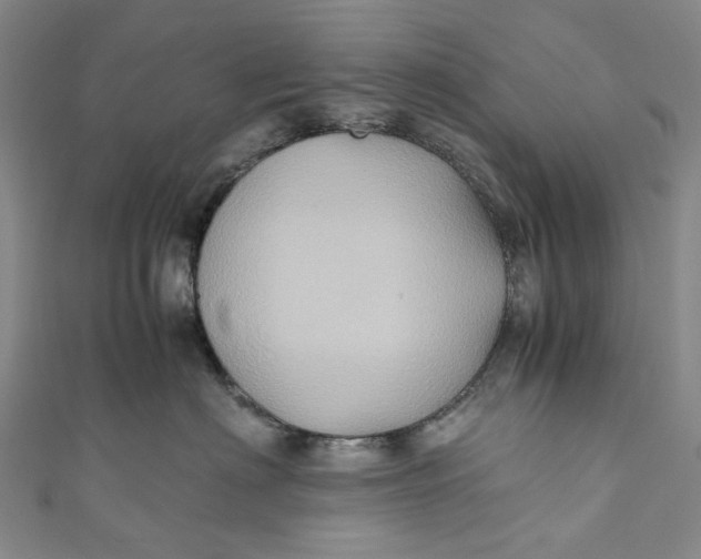 X0000110970622200907101350