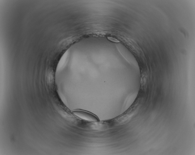 X0000110970623200907101350