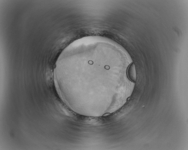 X0000110970624200907101350