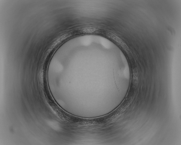 X0000110970626200907101349