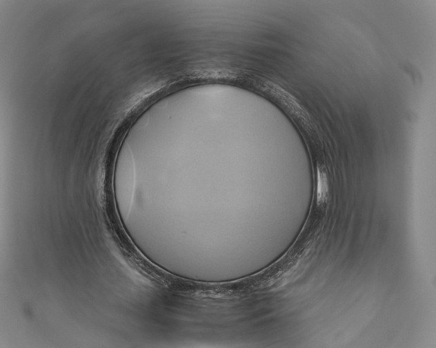 X0000110970627200907101349