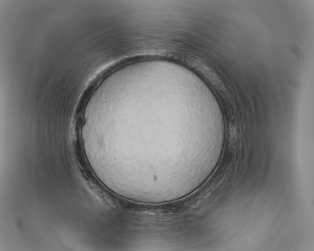 X0000110970628200907101349