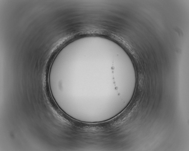 X0000110970629200907101349