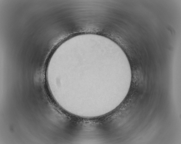 X0000110970632200907101349