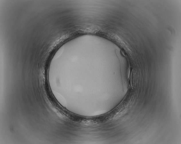 X0000110970634200907101349