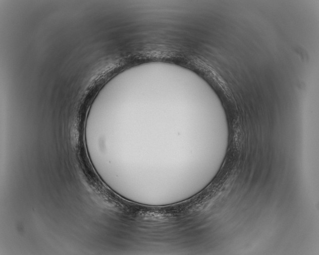 X0000110970635200907101349